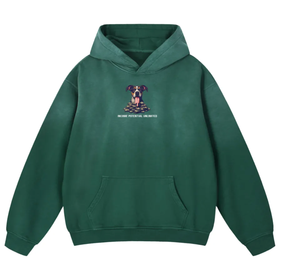 Income Potential Unlimited