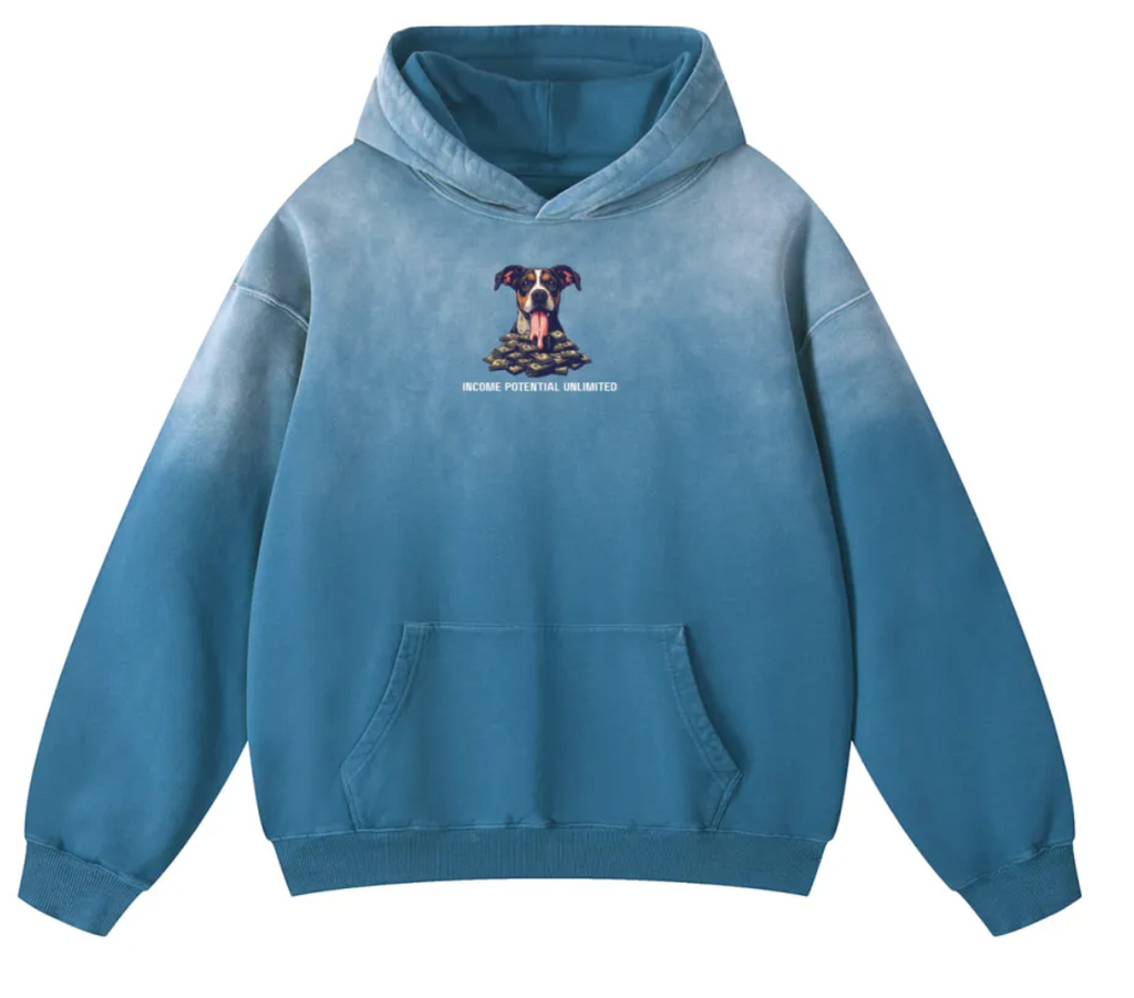 Income Potential Unlimited